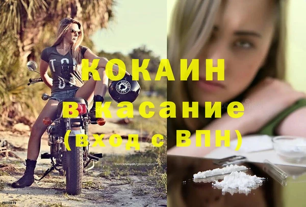тгк Алексин