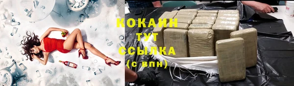 стаф Алзамай