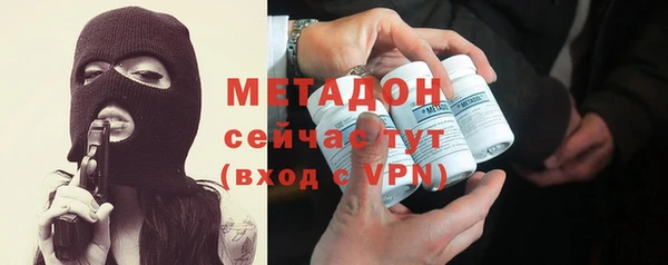 стаф Алзамай