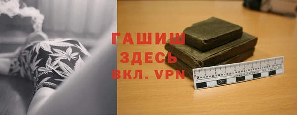 стаф Алзамай