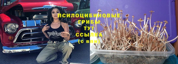 тгк Алексин