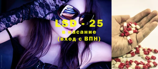 стаф Алзамай