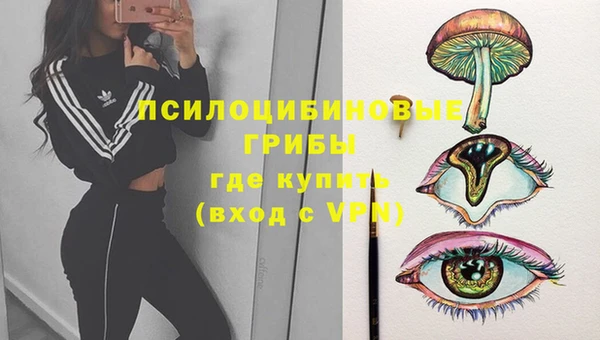 стаф Алзамай