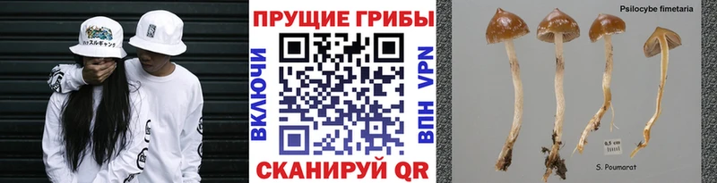Галлюциногенные грибы мухоморы  Амурск 